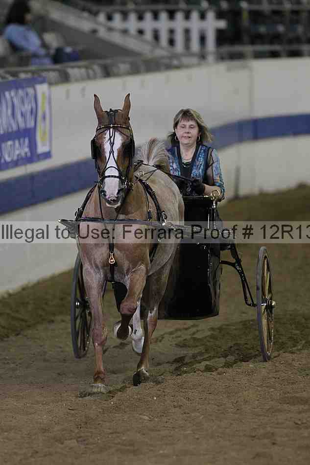 Proof 12r13_3877