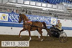 12r13_3882 proof