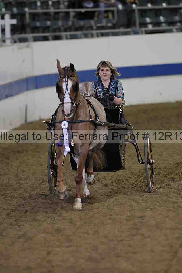 Proof 12r13_3884