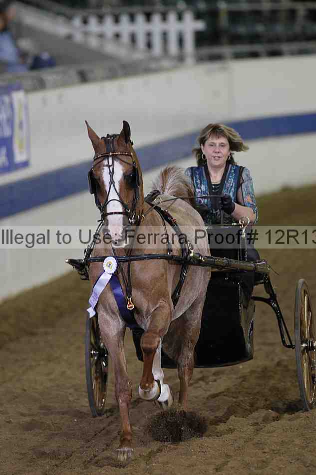 Proof 12r13_3885