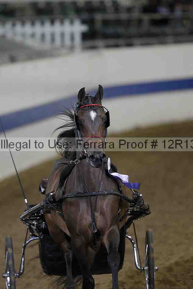 Proof 12r13_3887
