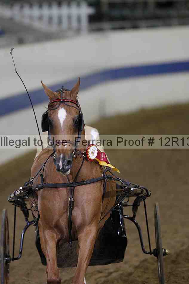 Proof 12r13_3891