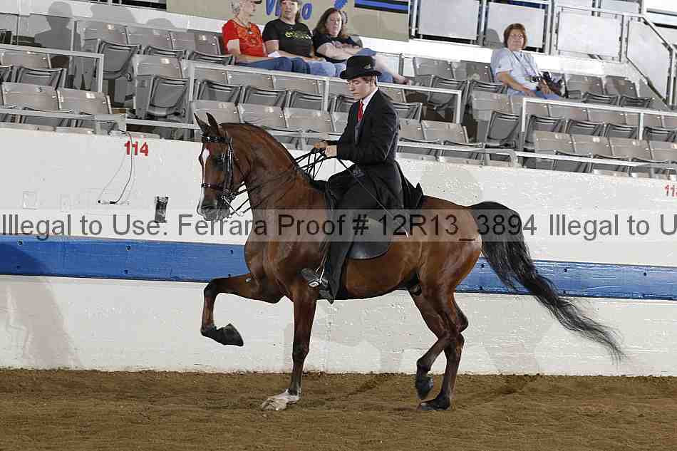 Proof 12r13_3894