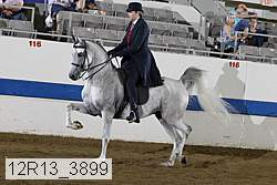 12r13_3899 proof