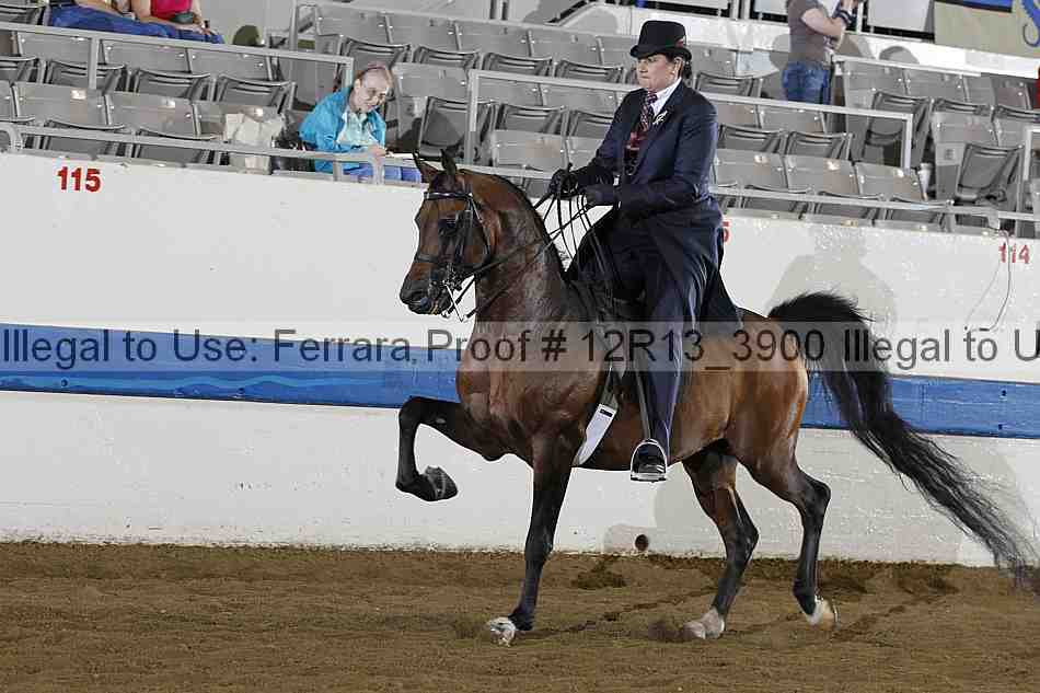 Proof 12r13_3900