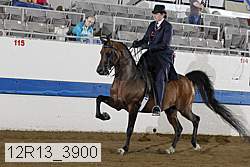 12r13_3900 proof