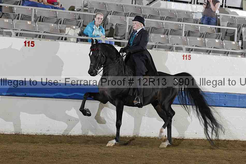 Proof 12r13_3901