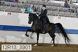 12r13_3901 proof