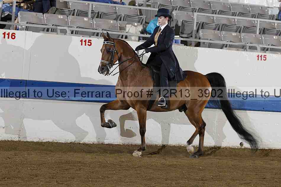 Proof 12r13_3902