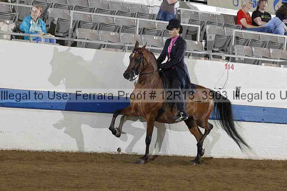 Proof 12r13_3903