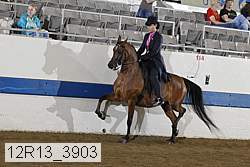 12r13_3903 proof