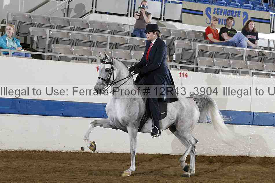 Proof 12r13_3904
