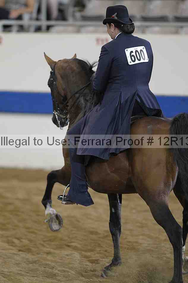 Proof 12r13_3905