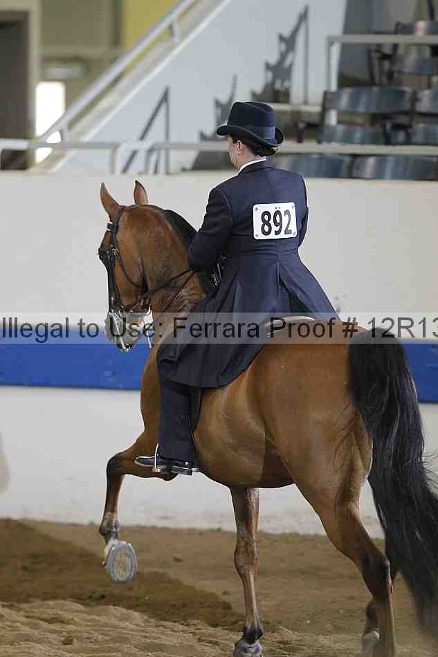 Proof 12r13_3906