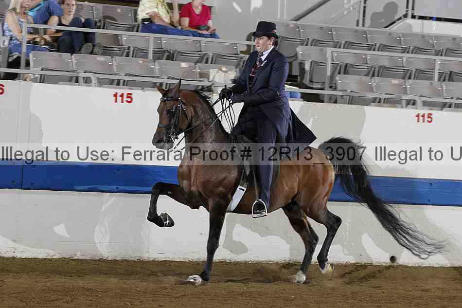 Proof 12r13_3907