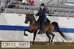 12r13_3907 proof