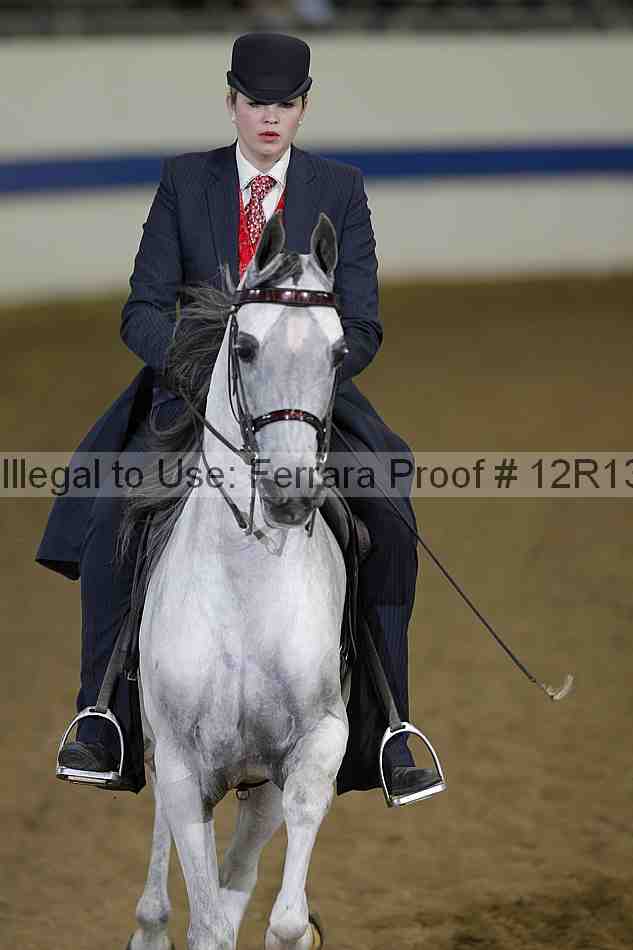 Proof 12r13_3909