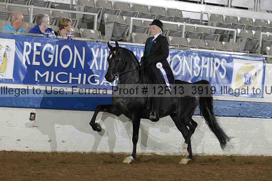 Proof 12r13_3919