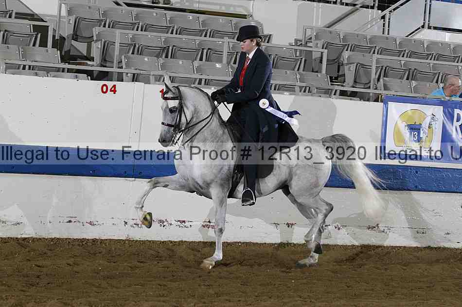 Proof 12r13_3920