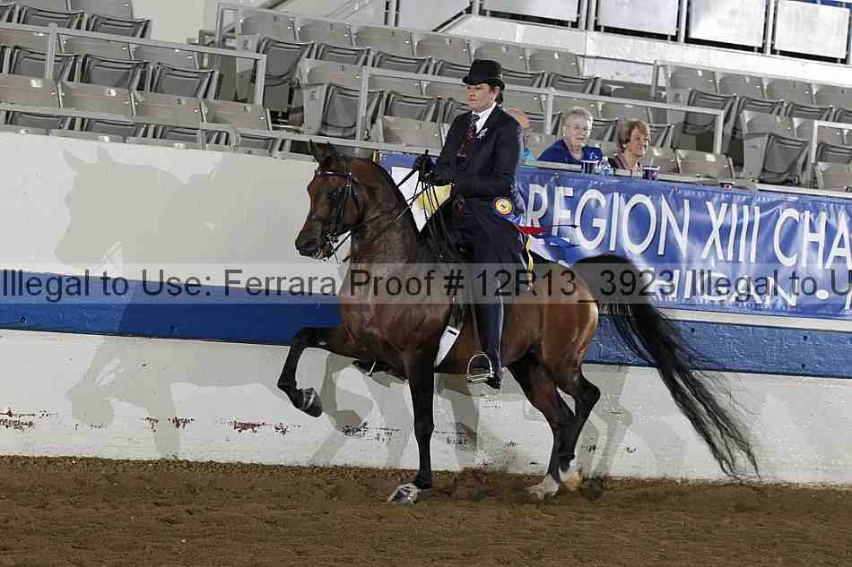 Proof 12r13_3923