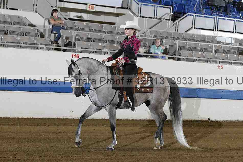 Proof 12r13_3933