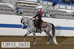 12r13_3933 proof