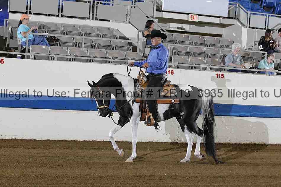 Proof 12r13_3935