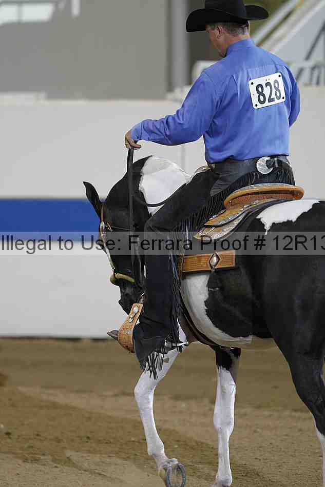 Proof 12r13_3936