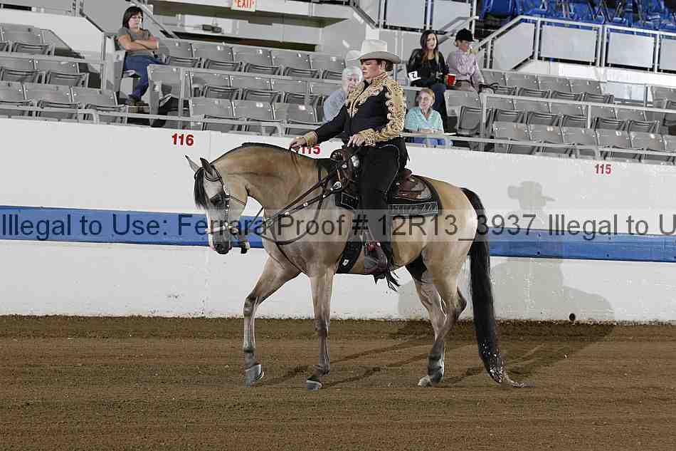 Proof 12r13_3937