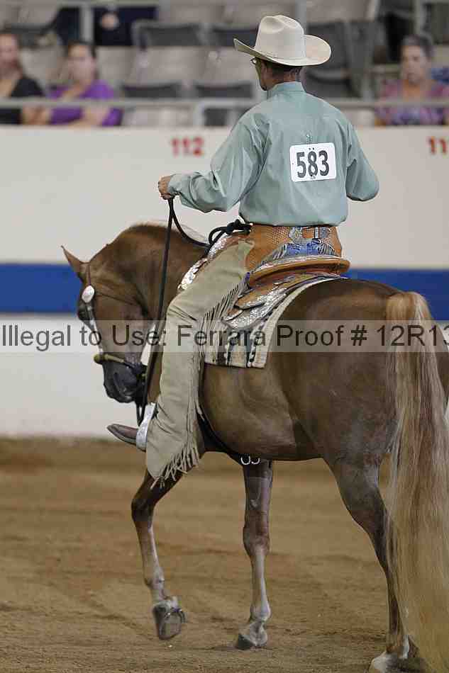 Proof 12r13_3941