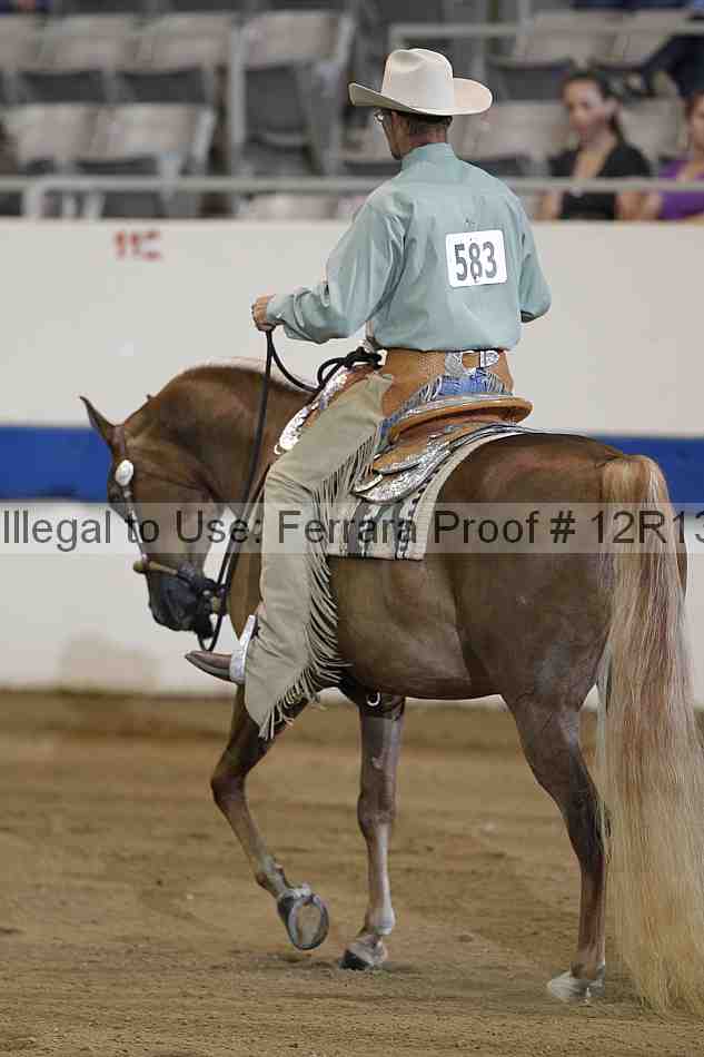 Proof 12r13_3942