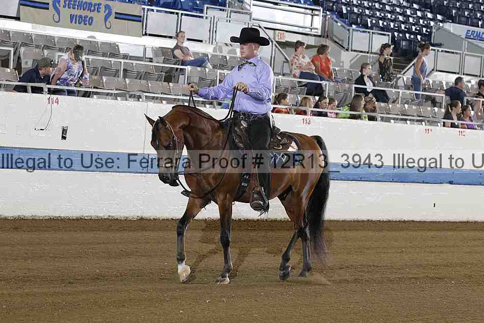 Proof 12r13_3943