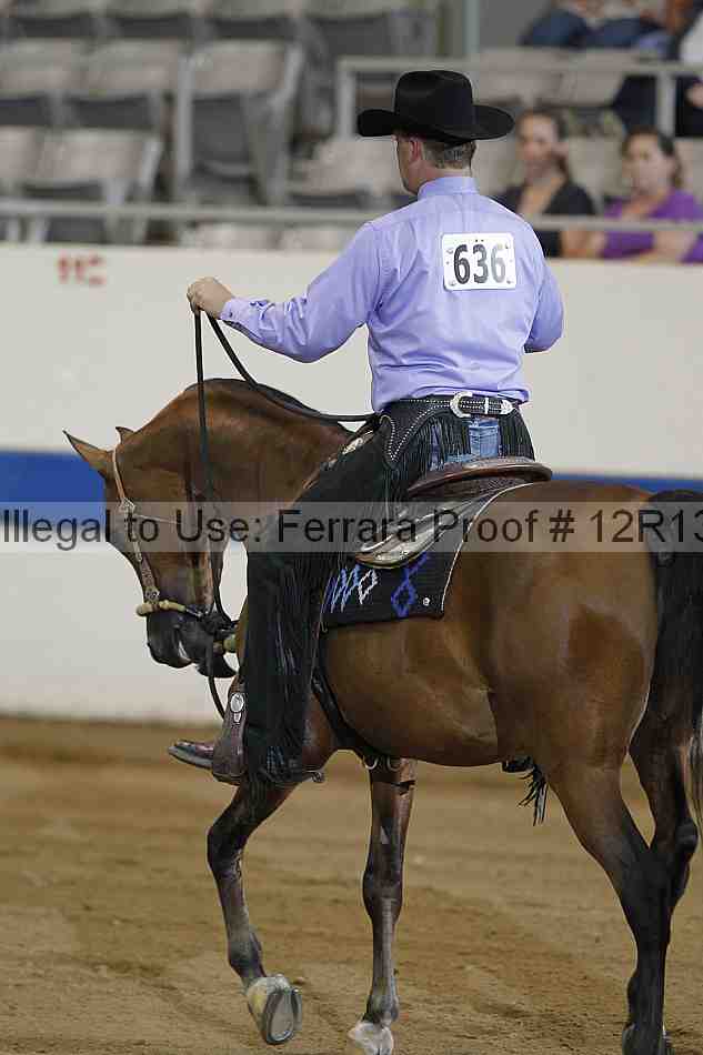 Proof 12r13_3944