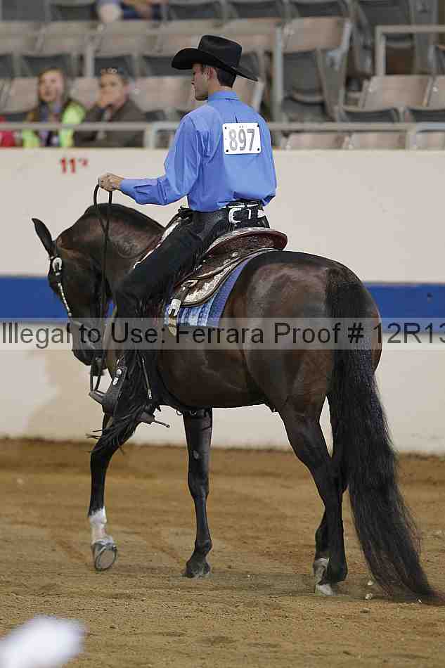Proof 12r13_3947