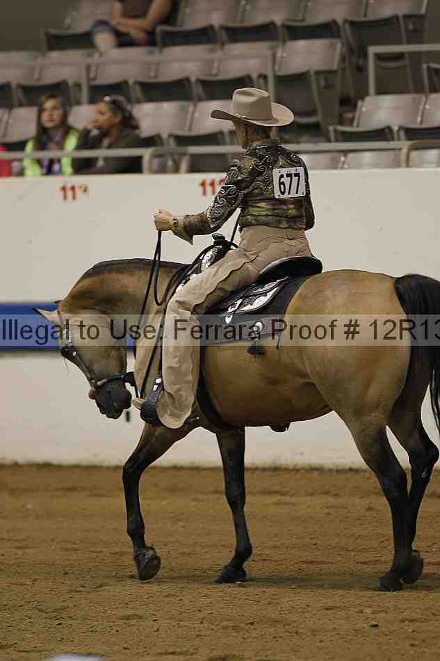 Proof 12r13_3951