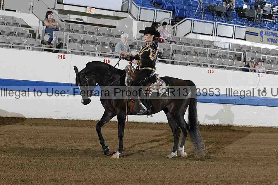 Proof 12r13_3953
