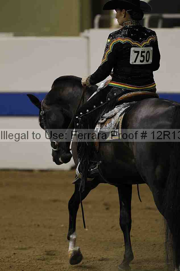 Proof 12r13_3954