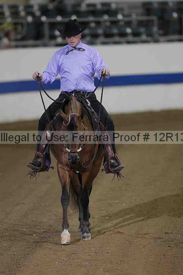 Proof 12r13_3955