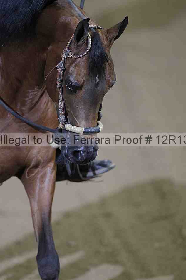 Proof 12r13_3957