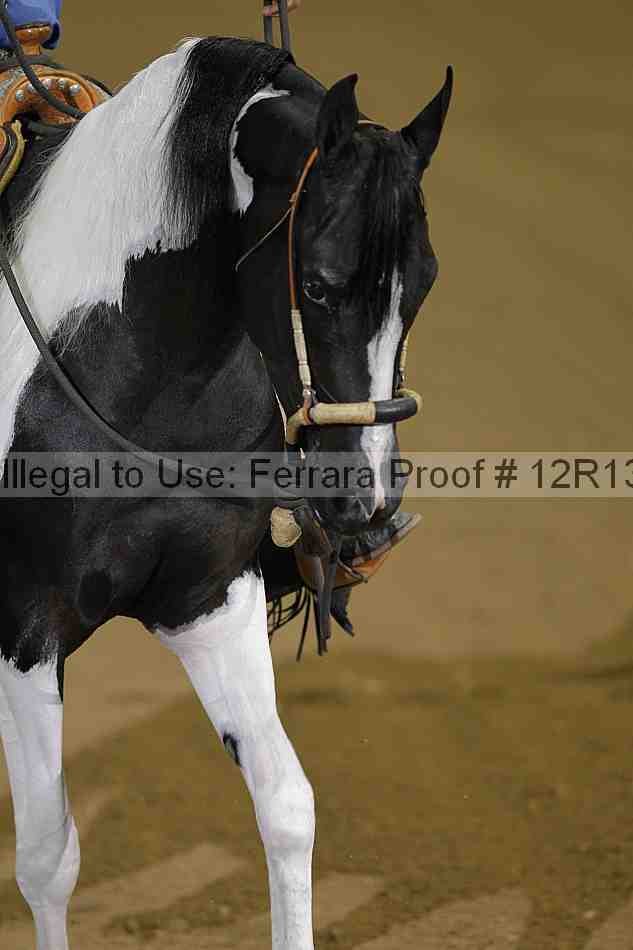 Proof 12r13_3959