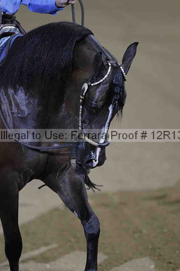 Proof 12r13_3961