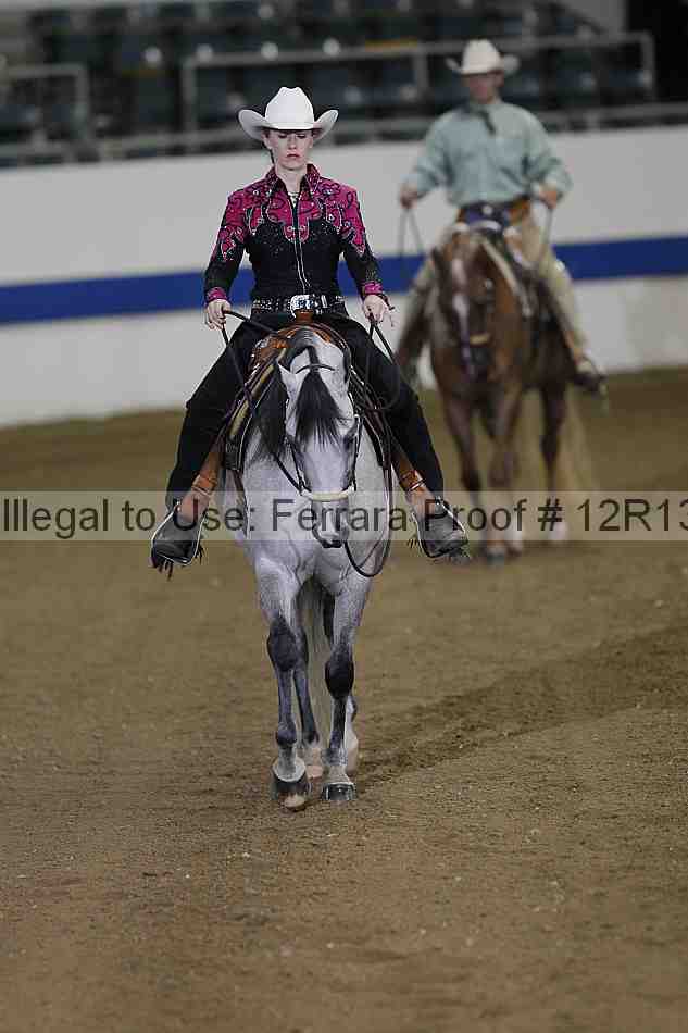 Proof 12r13_3963