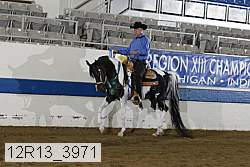12r13_3971 proof