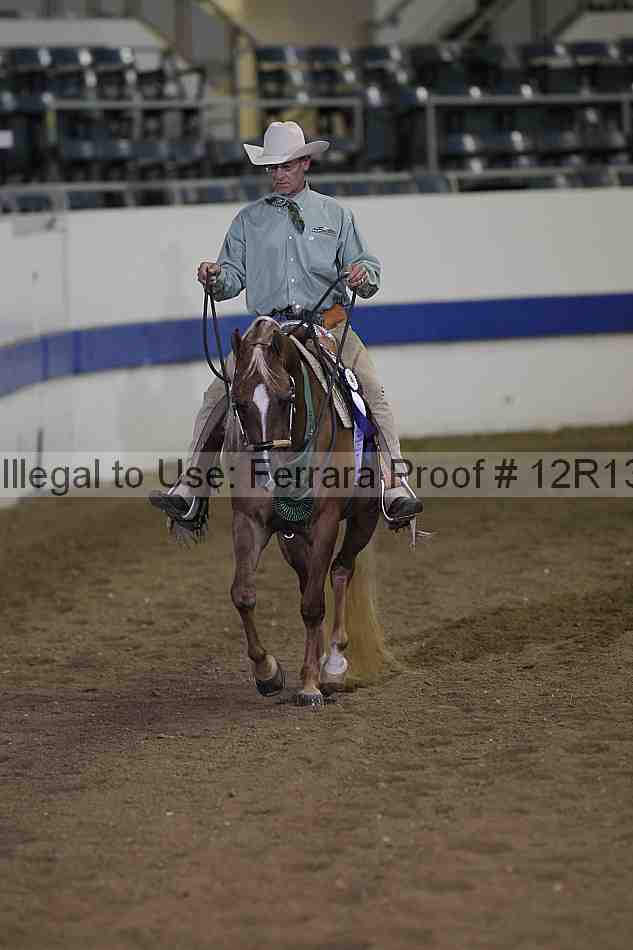 Proof 12r13_3972