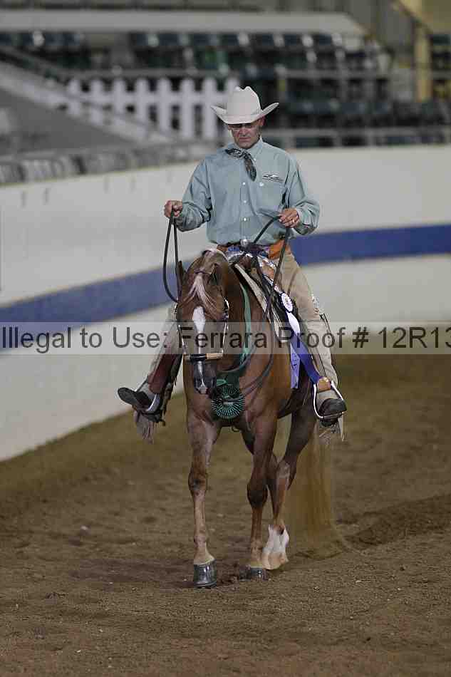 Proof 12r13_3973
