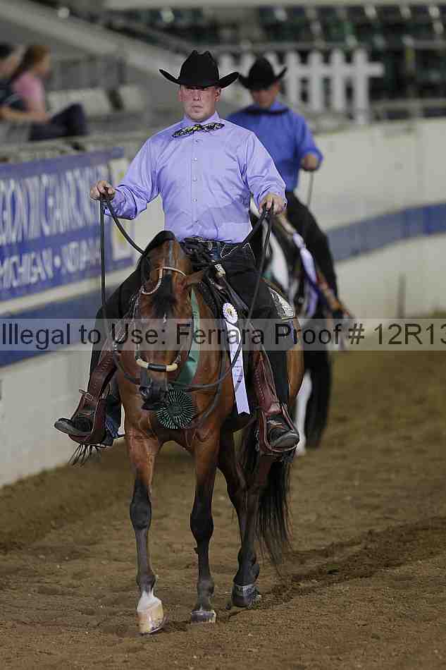 Proof 12r13_3976