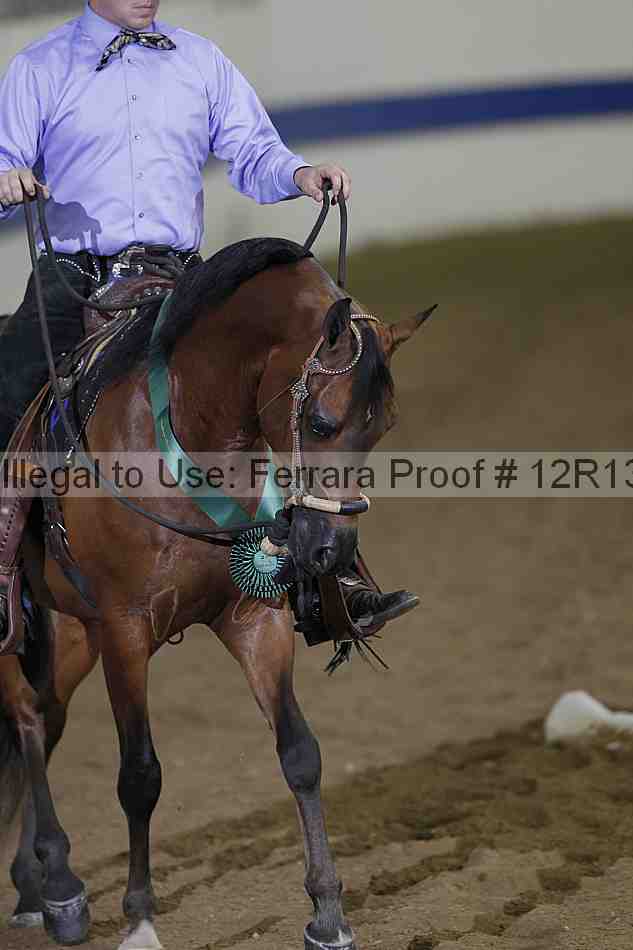 Proof 12r13_3977