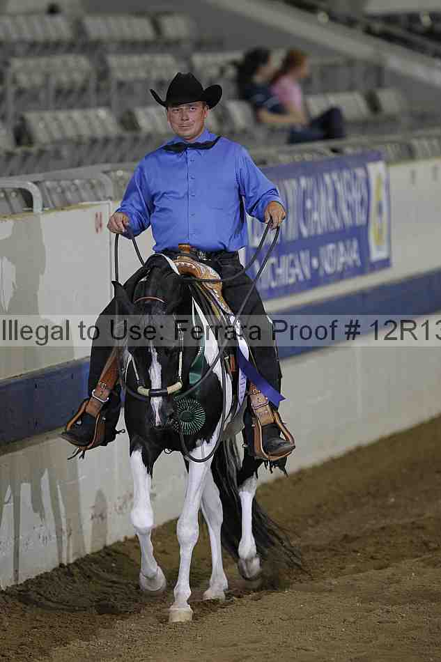 Proof 12r13_3978