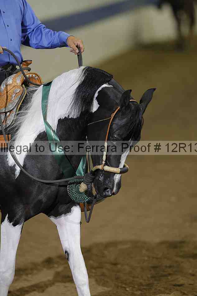 Proof 12r13_3982
