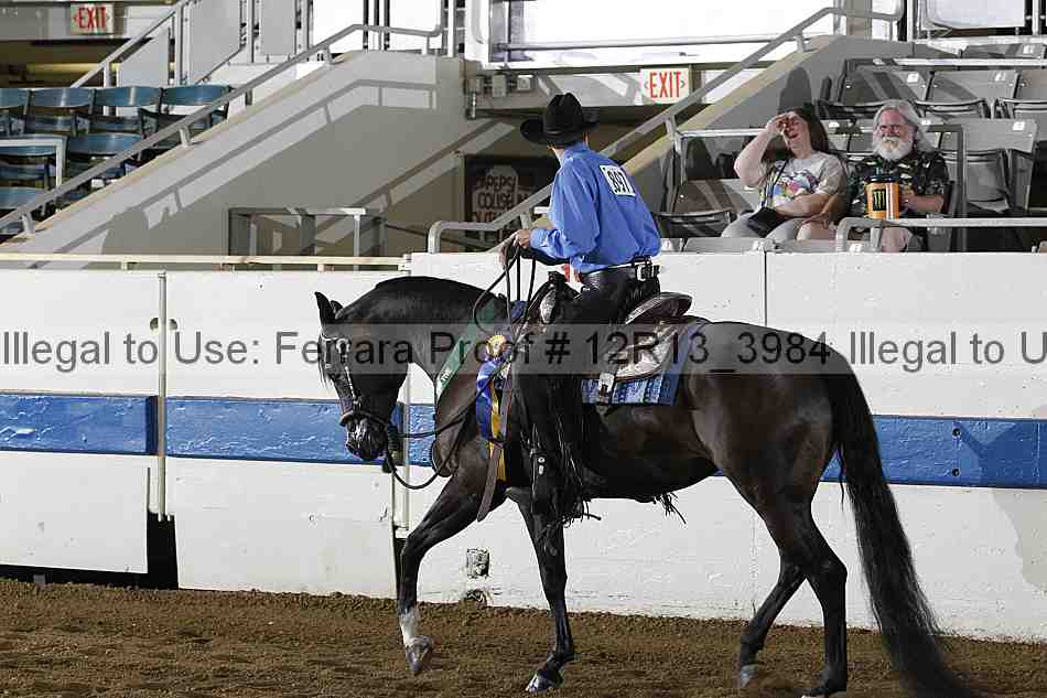 Proof 12r13_3984